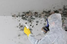 Mold Removal for HVAC Installations in Bradford, TN